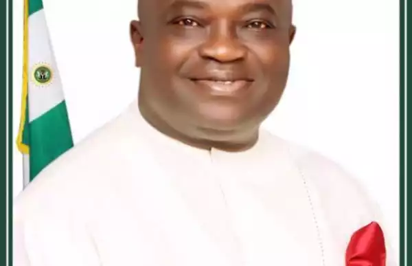 Igbo are desperate for peace in Nigeria – Ikpeazu